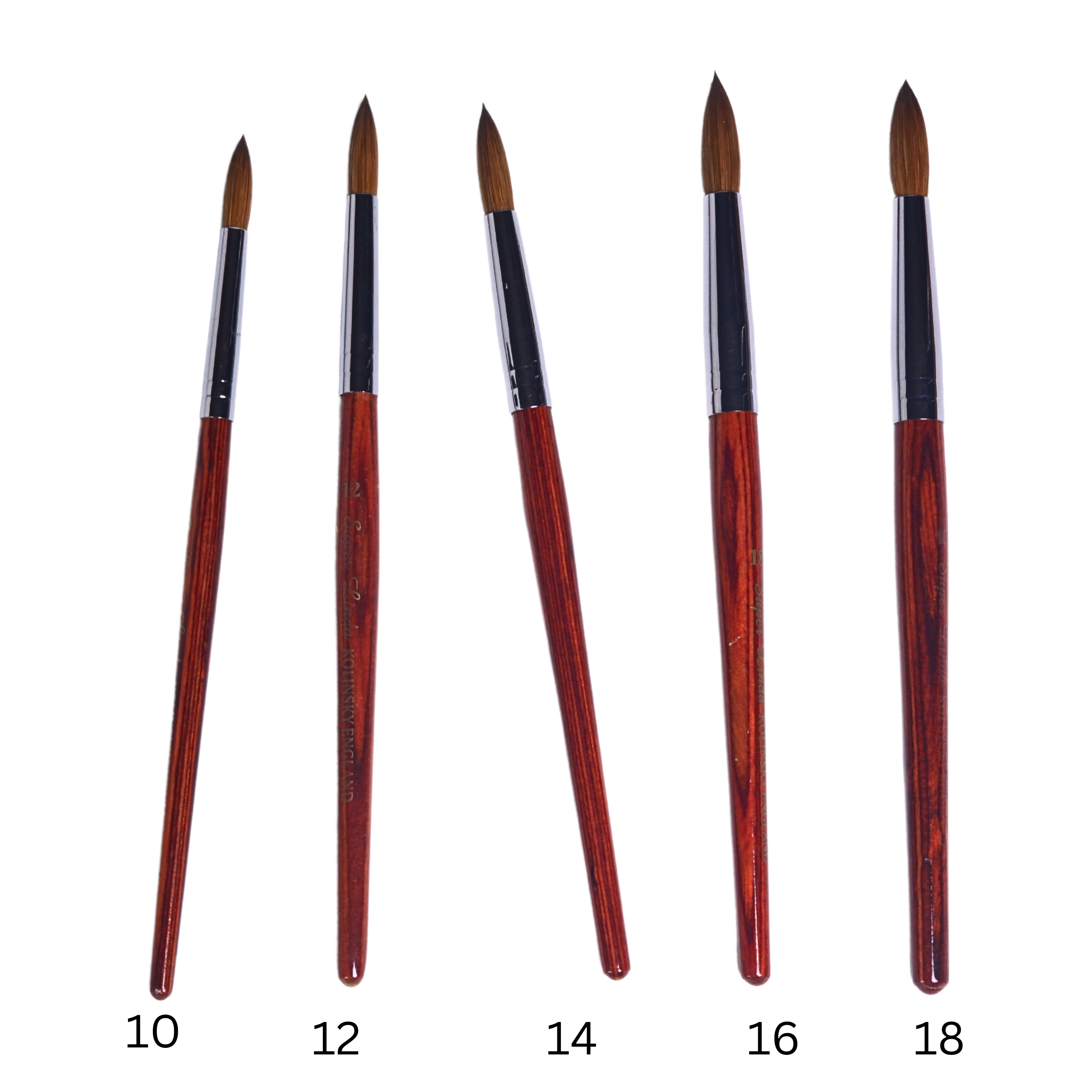 Kolinsky Acrylic Brush (sizes 10, 12, 14, 16, 18)