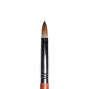Kolinsky Acrylic Brush (sizes 10, 12, 14, 16, 18)