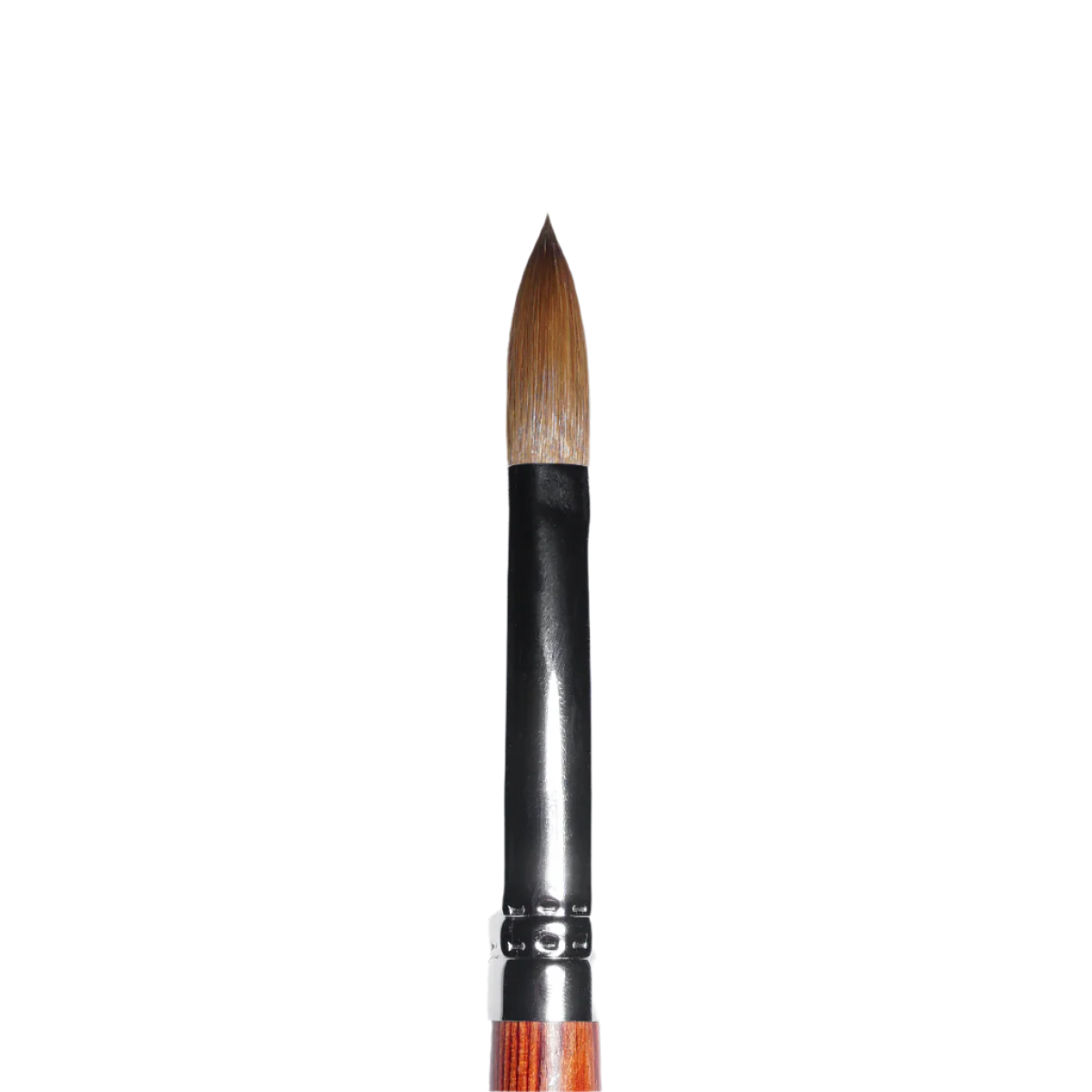Kolinsky Acrylic Brush (sizes 10, 12, 14, 16, 18)