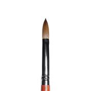 Kolinsky Acrylic Brush (sizes 10, 12, 14, 16, 18)