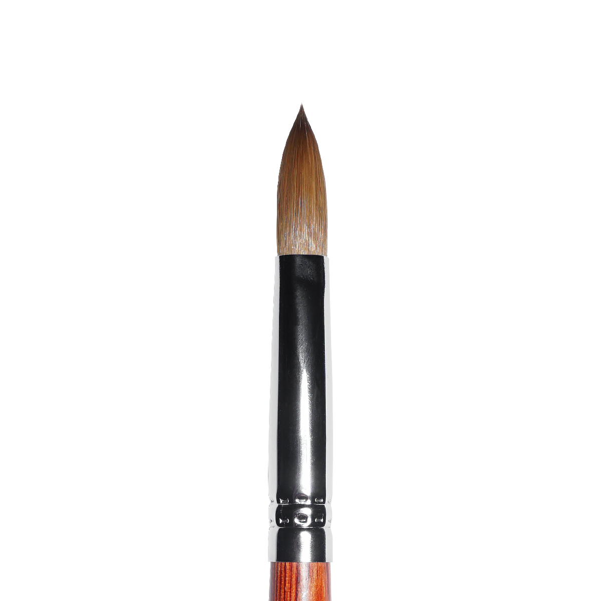 Kolinsky Acrylic Brush (sizes 10, 12, 14, 16, 18)