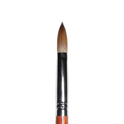 Kolinsky Acrylic Brush (sizes 10, 12, 14, 16, 18)
