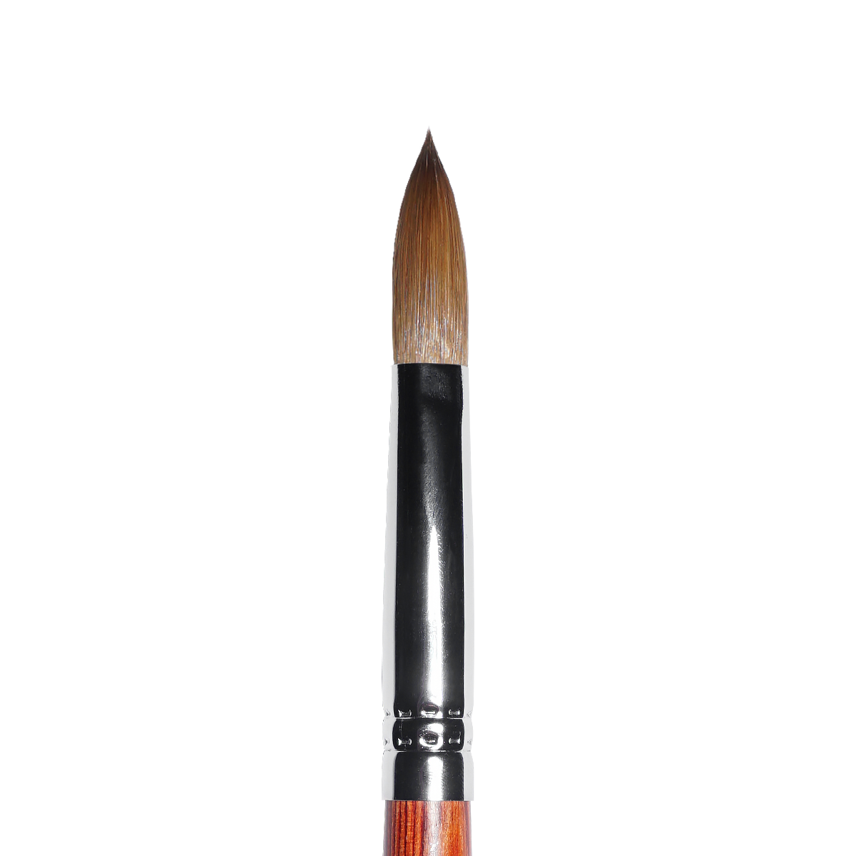 Kolinsky Acrylic Brush (sizes 10, 12, 14, 16, 18)
