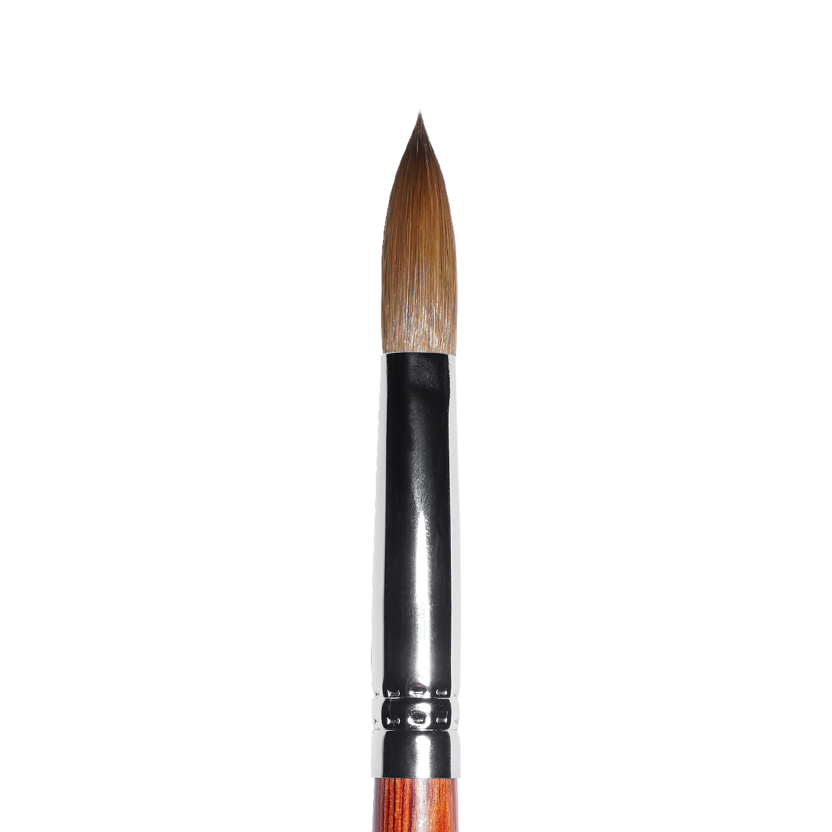 Kolinsky Acrylic Brush (sizes 10, 12, 14, 16, 18)